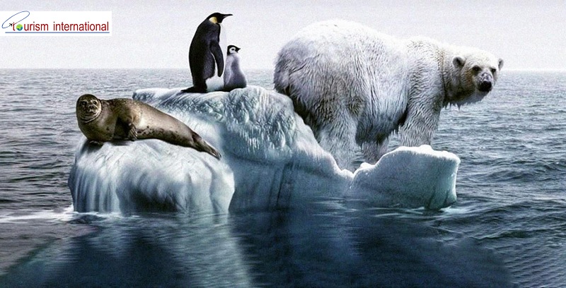 روایت عجیب “نشریه آتلانتیک” از تاثیرگذاری تغییرات اقلیمی بر حیوانات