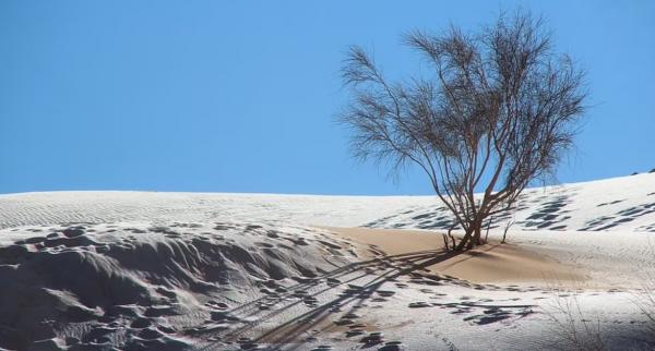 بزرگترین صحرای جهان سفیدپوش شد+تصاویر