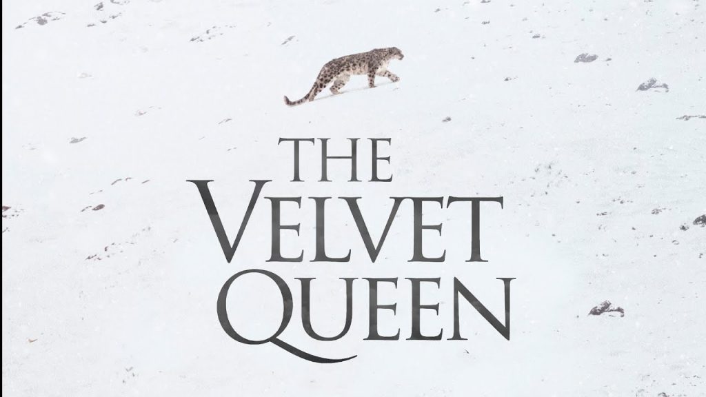 ملکه مخملی(The Velvet Queen)؛ مستندی حیرت انگیز در مورد طبیعت و جانوری منزوی
