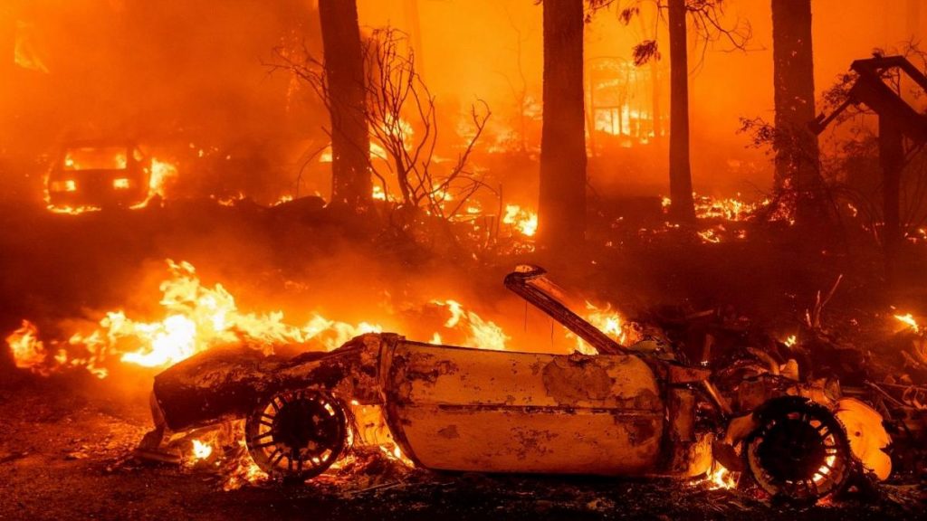 هشدار سازمان ملل در مورد افزایش آتش سوزی ها تا سال ۲۰۵۰
