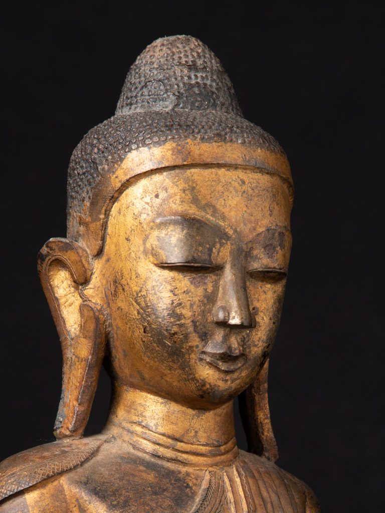 کشف بزرگترین آثار باستانی به جا مانده از بودا در پاکستان