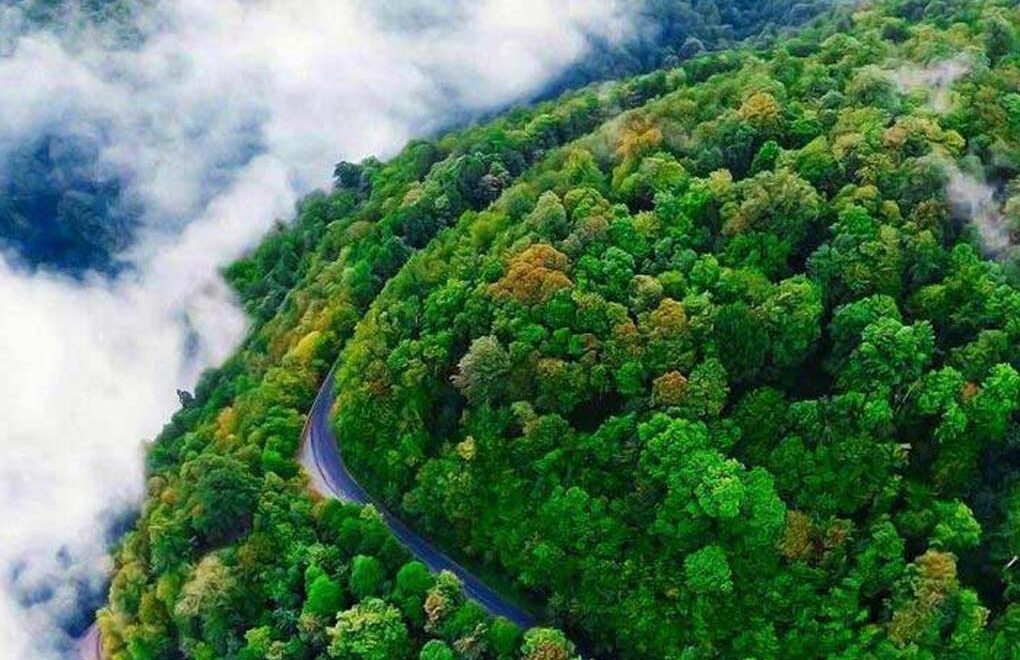 آخرین خبرها از ثبت ملی “جنگل های ارسباران”