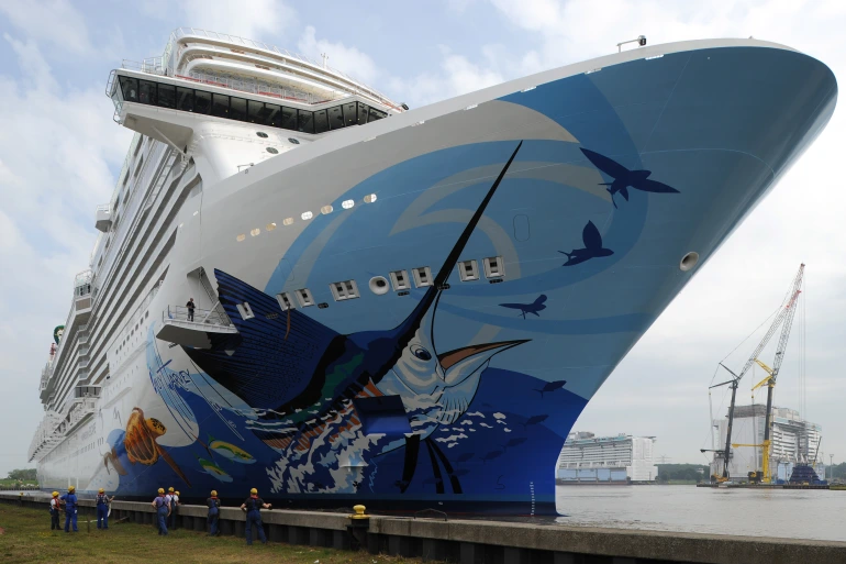 کشتی کارائیب با بیش از هزار مسافر به گل نشست
