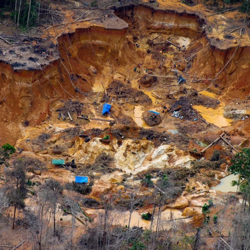 افزایش استخراج غیرقانونی طلا در آمازون برزیل