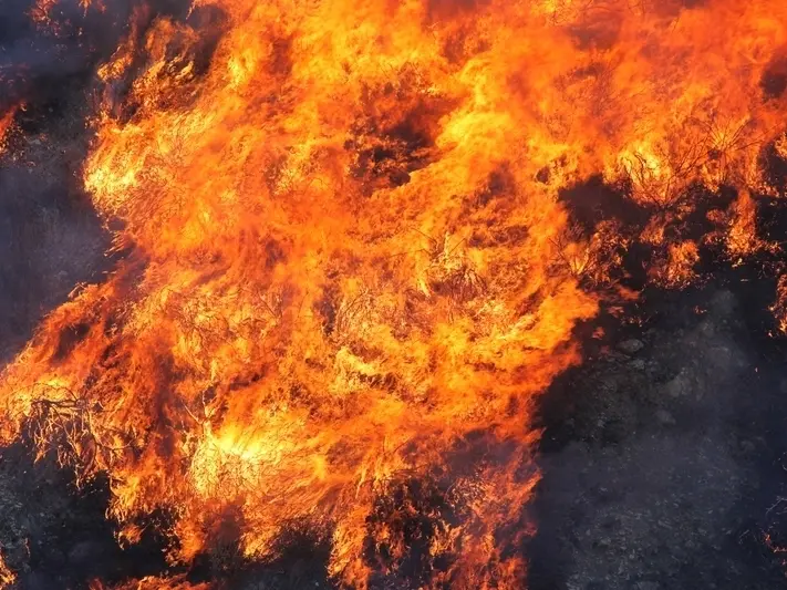آتش سوزی گسترده در یک بندر تجاری تفریحی در کالیفرنیا