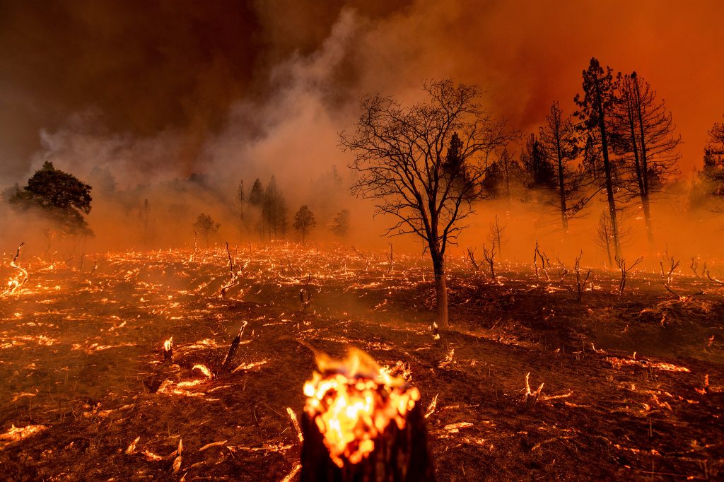 استقرار ۳ هزار آتش نشان برای مقابله با آتش سوزی های ناشی از فصل گرما در پرتغال