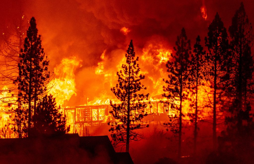 آتش سوزی گسترده جنگل های کالیفرنیا/فیلم