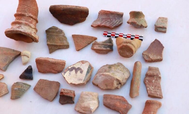 کشف آثار باستانی در جزیره فرسان عربستان