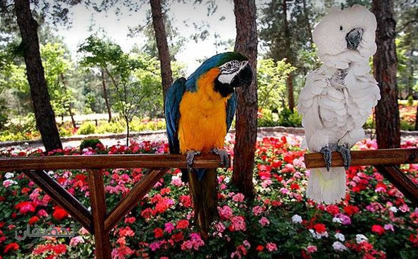 آشنایی با بزرگ‌ترین باغ پرندگان ایران
