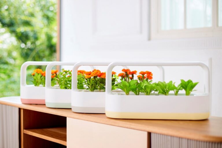 پرورش آسانِ گیاهان و سبزیجات در خانه با محصول نوآورانه و پر طرفدار LG tiiun