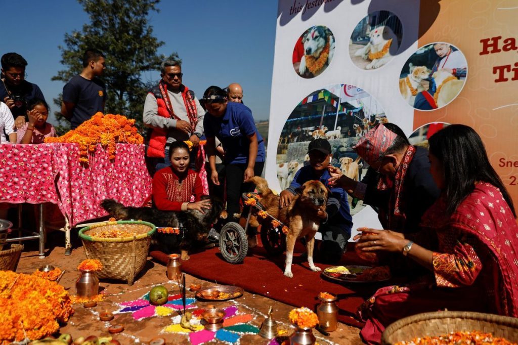 روز سگ‌ در نپال/ قدرانی با حلقه گل و خوراکی/فیلم