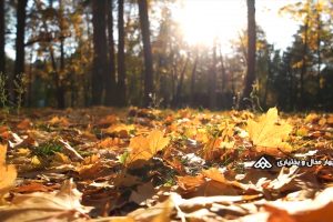 فصل پاییز در چهار محال و بختیاری/ویدیو