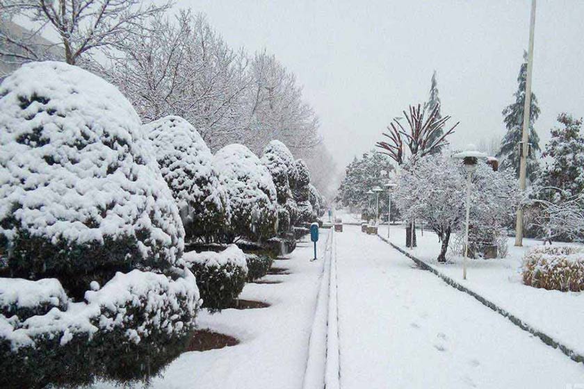 برف بازی در تهران