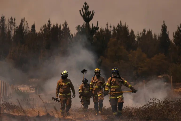 تشدید آتش سوزی های جنگلی در شیلی