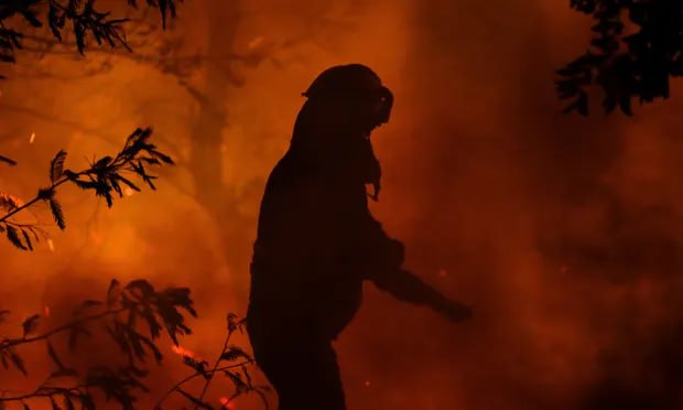 اعلام وضعیت اضطراری در شیلی پس از آتش سوزی شدید جنگلی