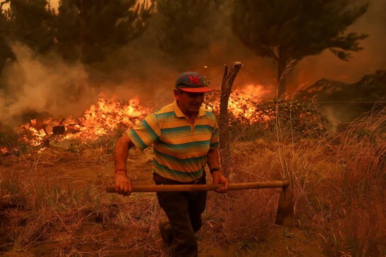 گسترش وضعیت اضطراری در شیلی پس از اوج گیری آتش سوزی های جنگلی