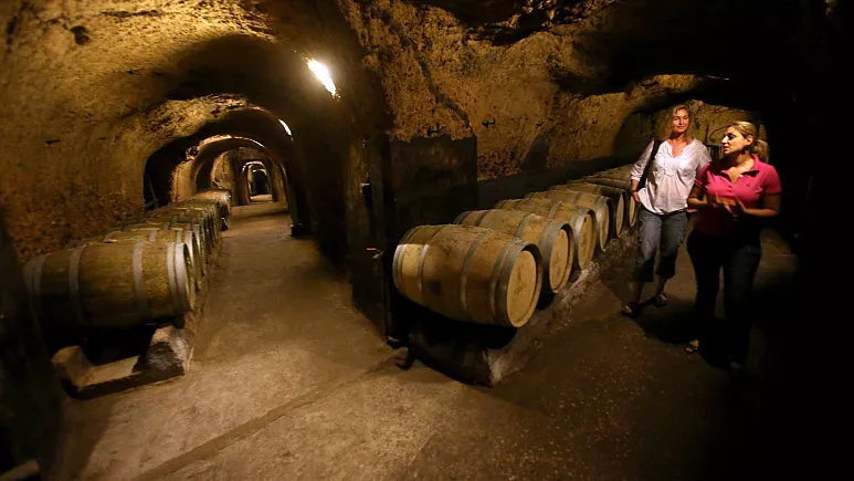 کشف یک کارخانه شراب‌سازی متعلق به دوران روم باستان در نزدیکی پایتخت ایتالیا