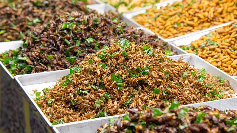 نتیجه یک پژوهش نشان می دهد مصرف حشرات خوراکی برای سلامت انسان مفید است