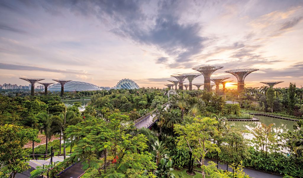 معرفی ۲۱ جاذبه سنگاپور که مشابهش را تنها در بهشت خواهید یافت