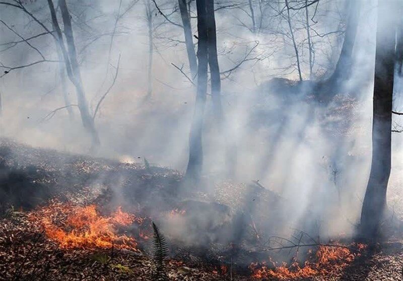 آتش‌سوزی جنگل های “باشت” مهار شد