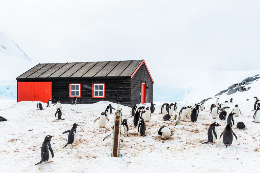 ۱۲حقیقت جالب در مورد قطب جنوب که نمی دانستید