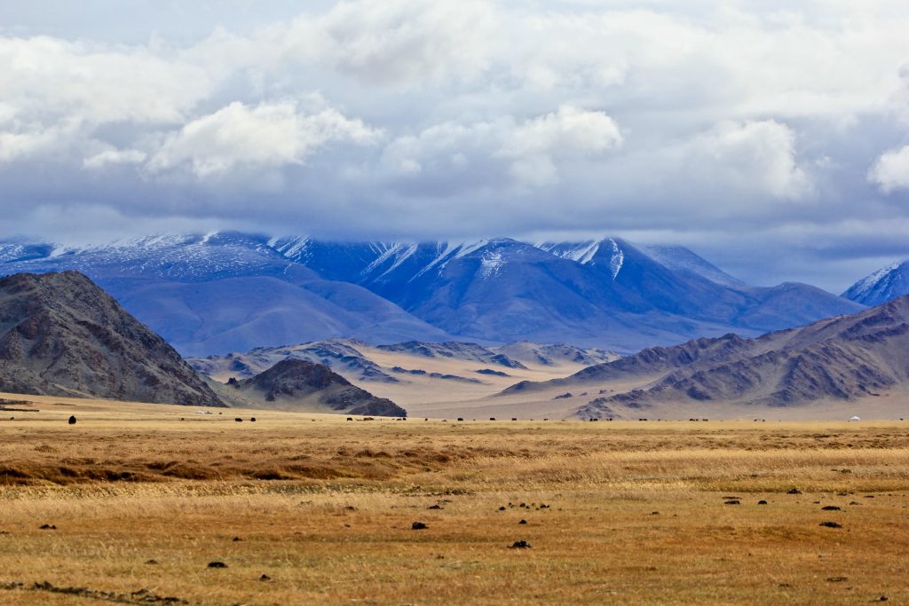 درآمد گردشگری مغولستان در سال ۲۰۲۳ به بیش از یک میلیارد دلار رسید