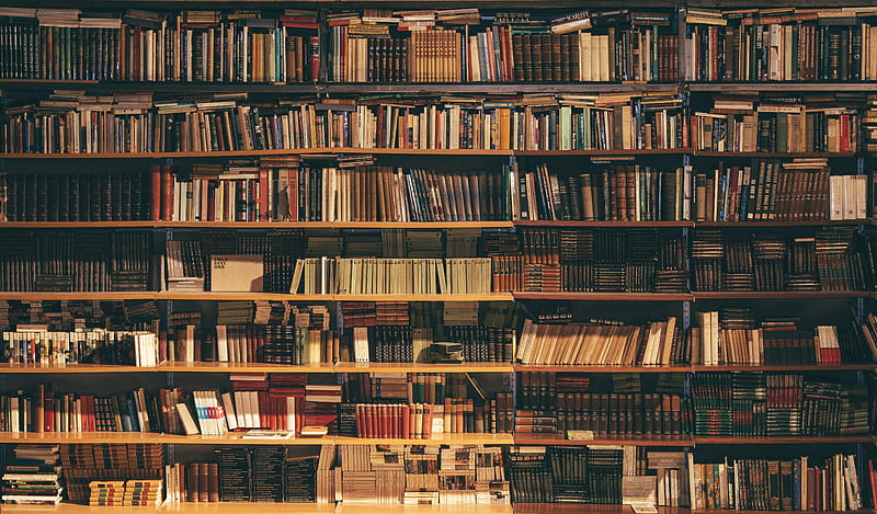 آشنایی با ۱۰ کتاب پروفروش تاریخ جهان که خواندنشان زندگی شمارا متحول می‌کنند