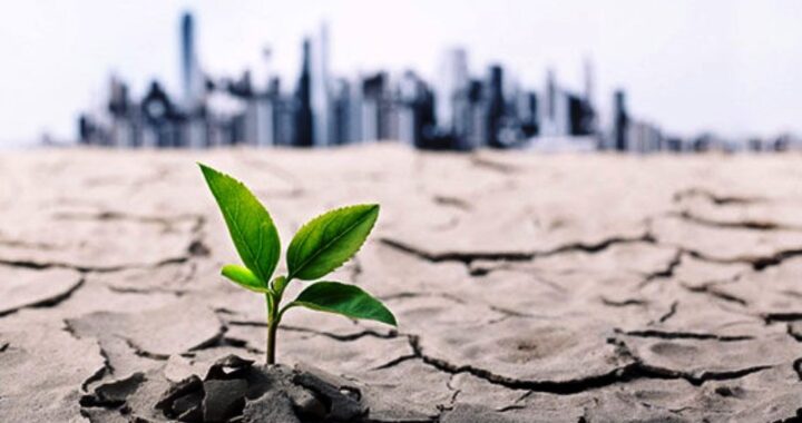 بحران کم آبی در پایتخت جدی شد